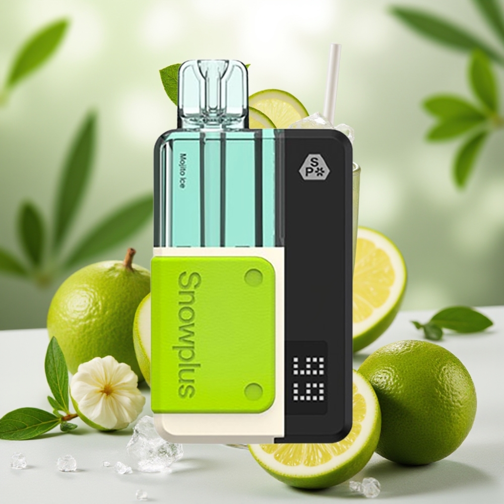 Snowplus Swift 5000 Puffs Bulgaria vape wholesale Dual Mesh 1000mAh 65g Мохито Айс