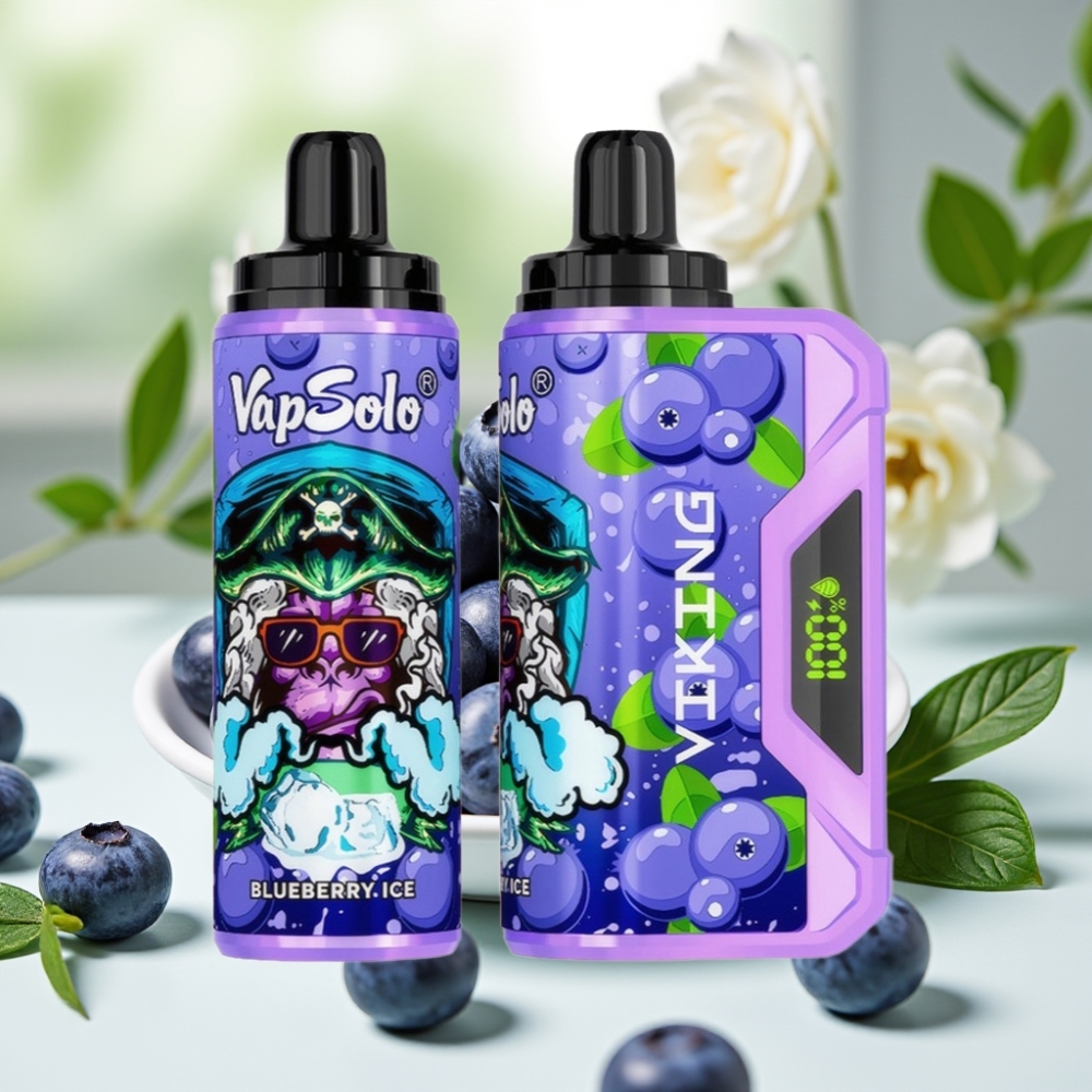 VapSolo VIKING 12000 Пуфове 22мл 20/50мг/мл Type-C Боровинка