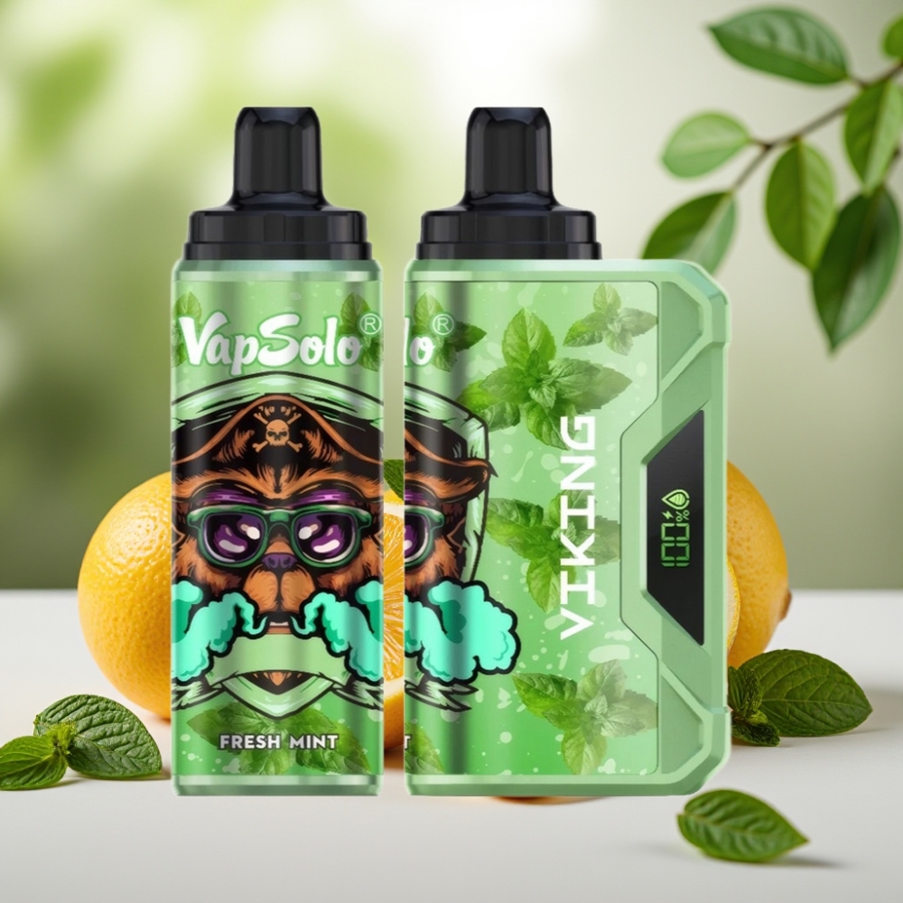 VapSolo VIKING 12000 Пуфове 22мл 50 мг/мл Свежа мента