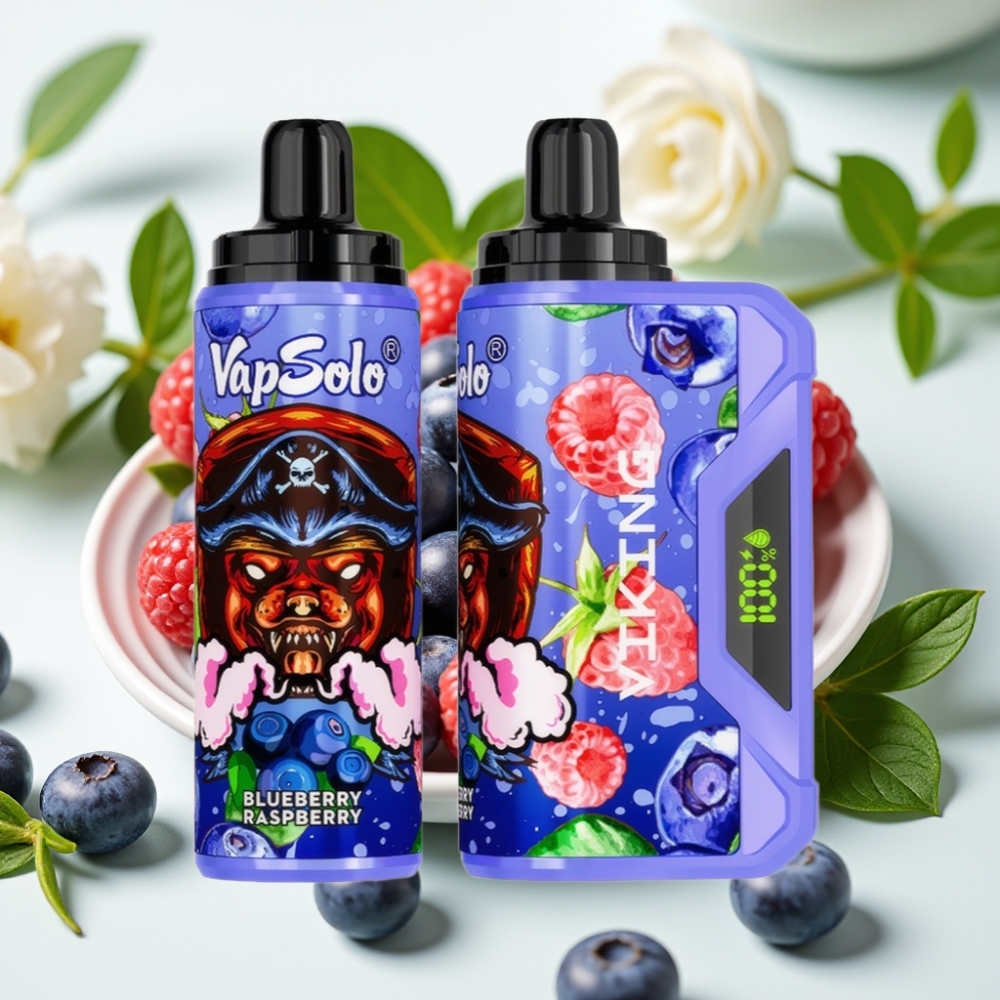 VapSolo VIKING 12000 Пуфове 22мл Тип-C Боровинка Малина