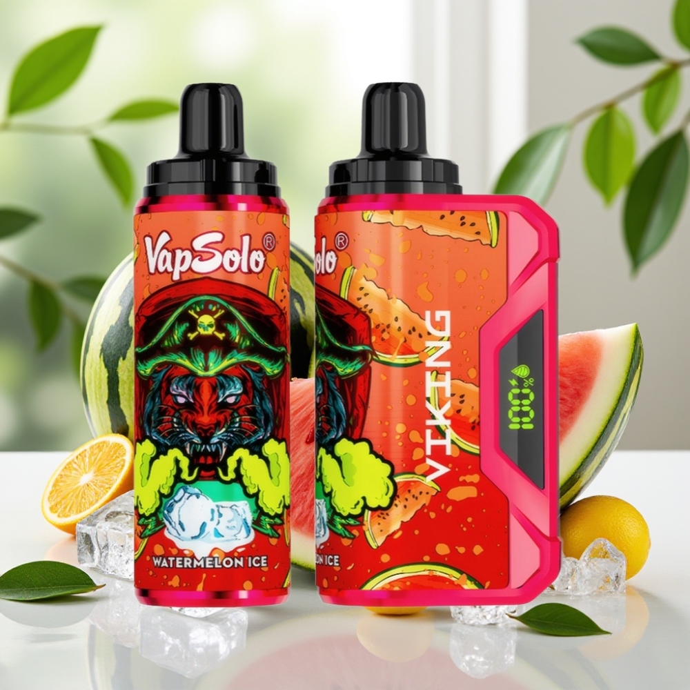 VapSolo VIKING 12000 Puffs Bulgaria vape wholesale 22ml LED Type-C Диня Лед